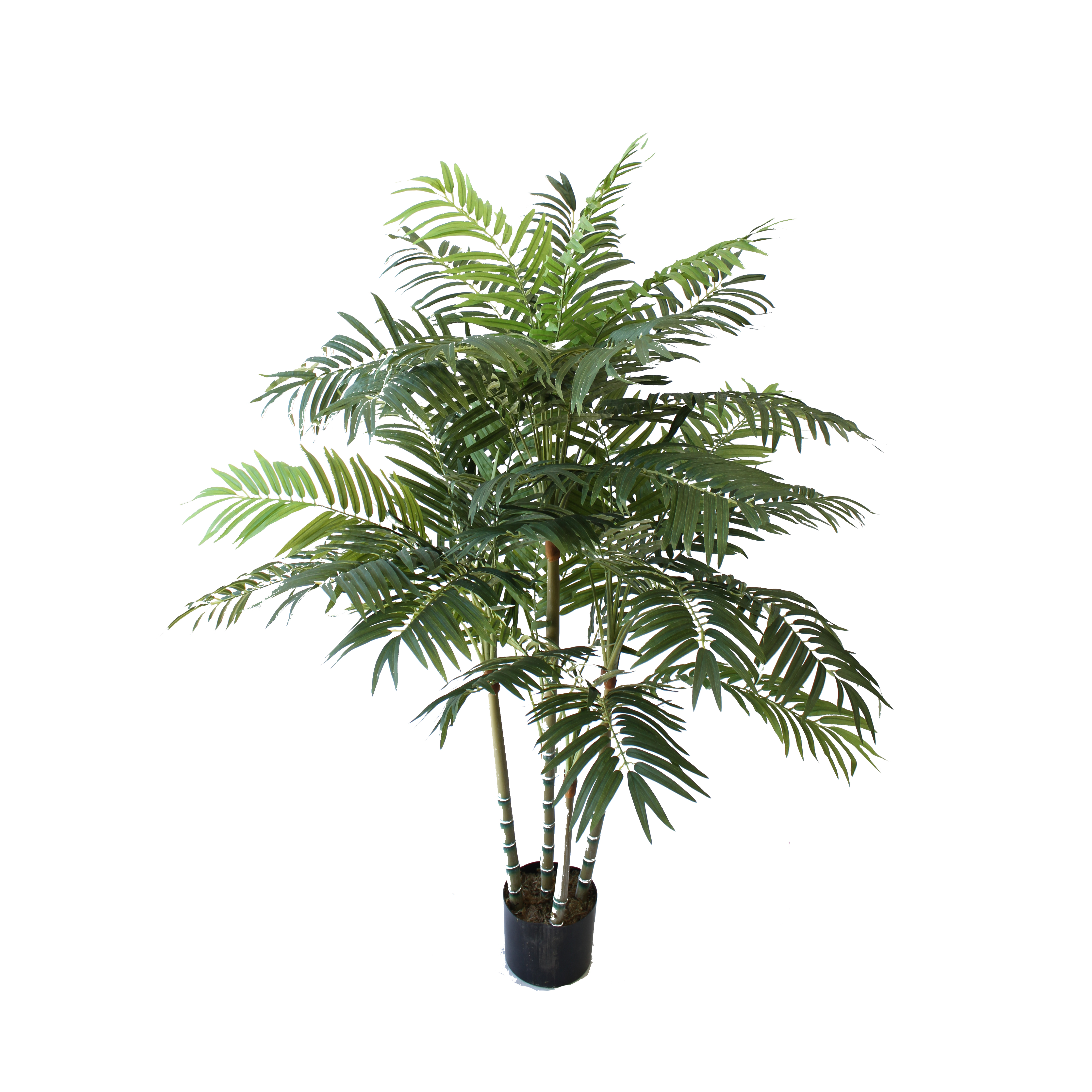 Artificial Palm Best Artificial Palm Plants Greenery Imports