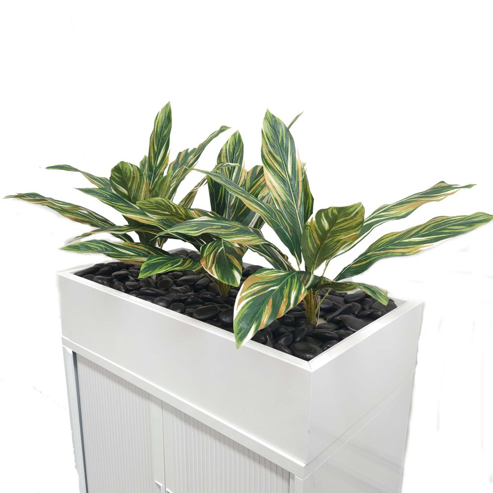 Office Plants, Fake Plants for Office, Planters, Faux Plants | Fake Dracaena | Artificial Office Plants | Tambour Plants