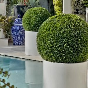 UV Resistant Artificial Trees, Shrubs and Faux Plants